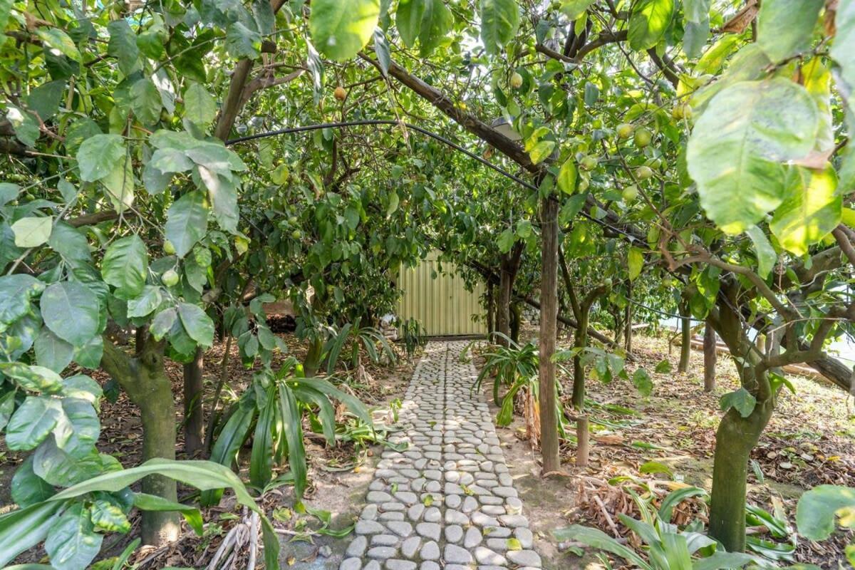 Villa Mimosa Massa Lubrense Exterior foto